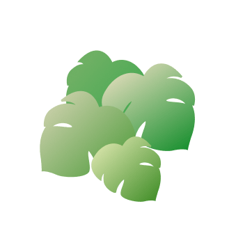 Illustrated tropical leaves
